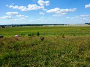Widok na pole z Góry Stawskiej