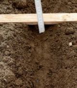 Głębokość umieszczania nasion w glebie na 3 cm