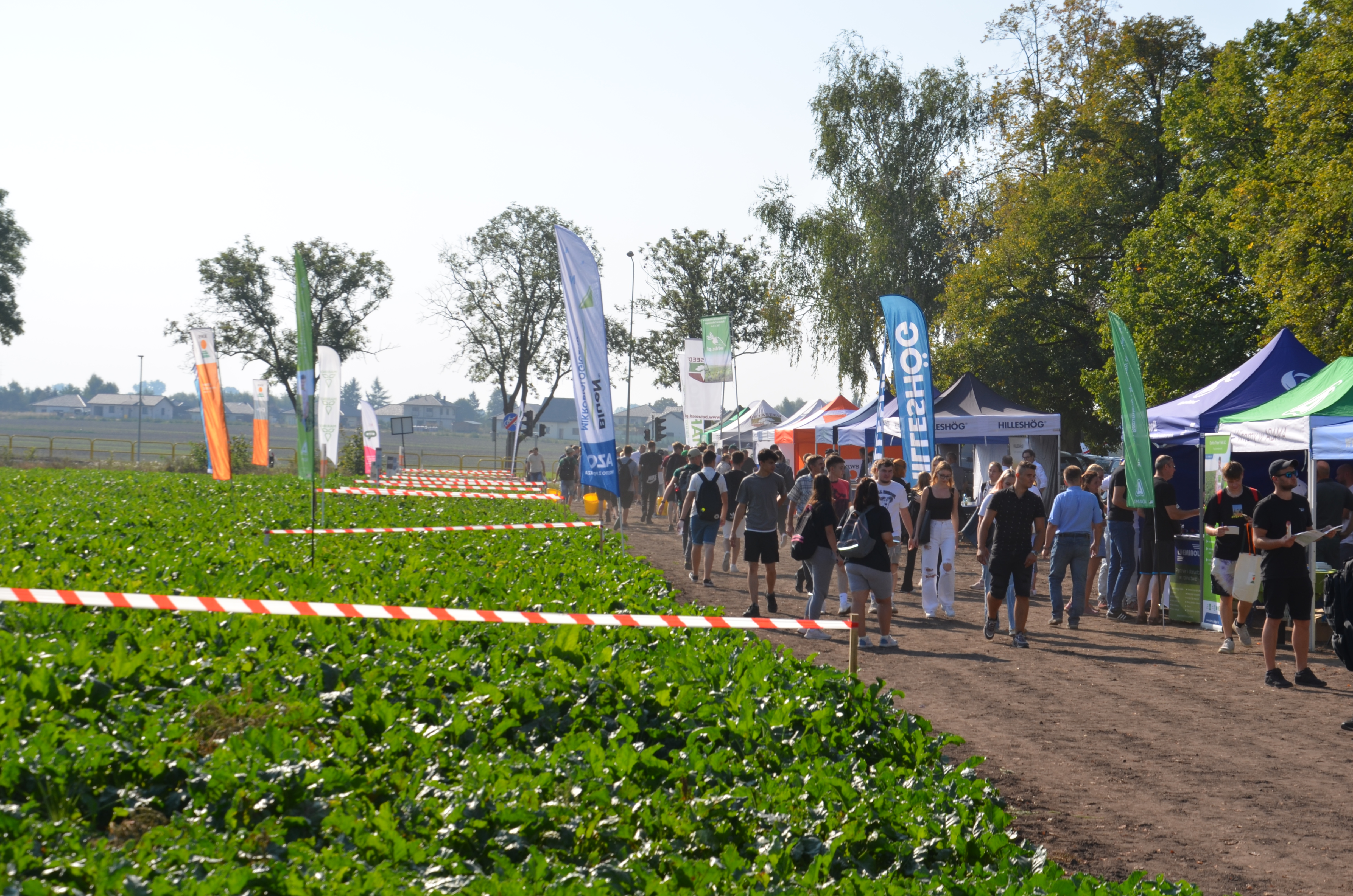 Warsztaty polowe w Starym Brześciu 2023 - Relacja