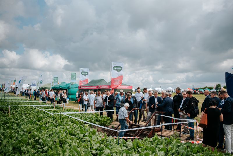 Dni Pola Krajowej Spółki Cukrowej S.A. w sezonie 2021