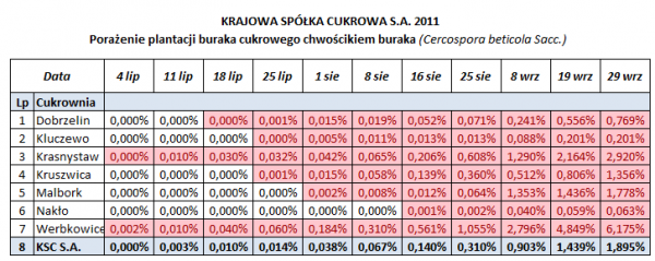 tabela pokazująca porażenie plantacji buraka curkowego chwościkiem buraka