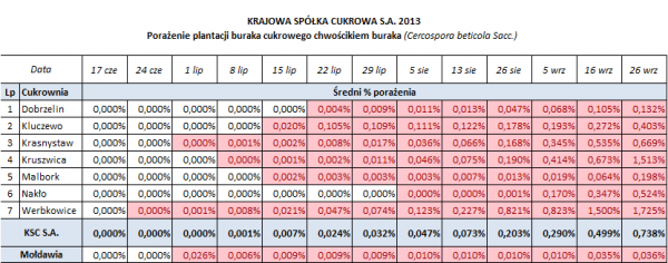 tabela pokazująca porażenie plantacji buraka curkowego chwościkiem buraka