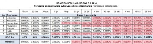 tabela pokazująca porażenie plantacji buraka curkowego chwościkiem buraka