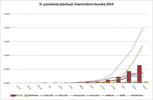 tabela pokazująca porażenie plantacji buraka curkowego chwościkiem buraka