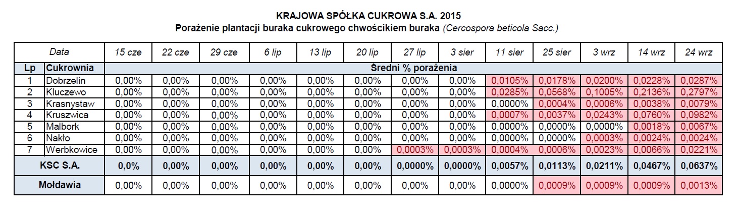 tabela pokazująca porażenie plantacji buraka curkowego chwościkiem buraka