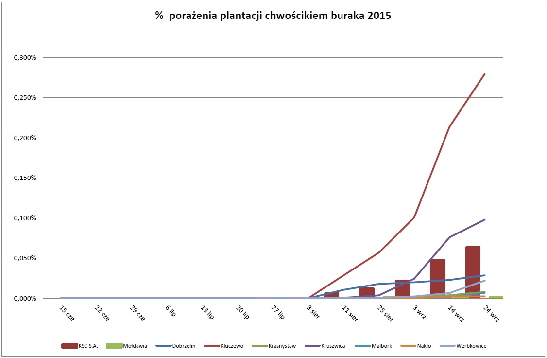 tabela pokazująca porażenie plantacji buraka curkowego chwościkiem buraka