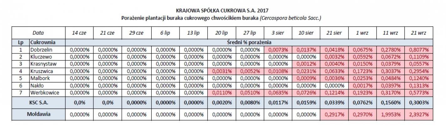 tabela pokazująca porażenie plantacji buraka curkowego chwościkiem buraka