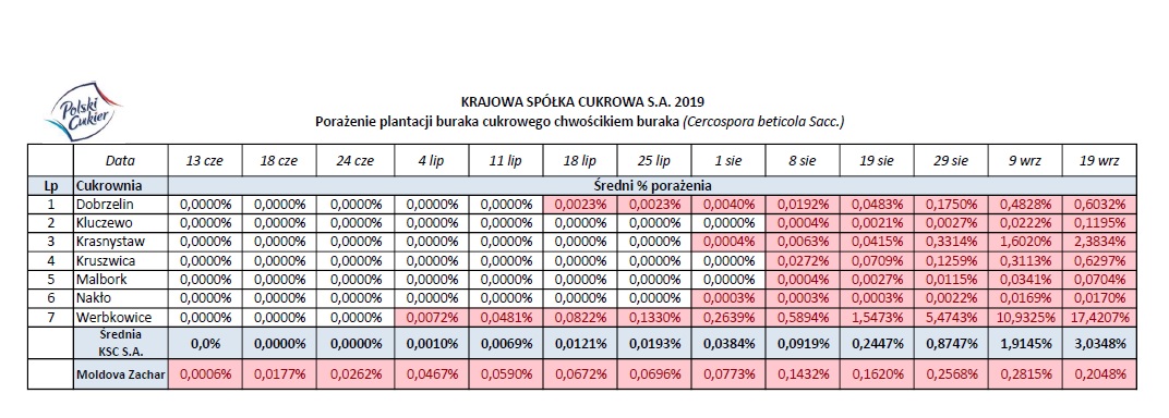 tabela pokazująca porażenie plantacji buraka curkowego chwościkiem buraka