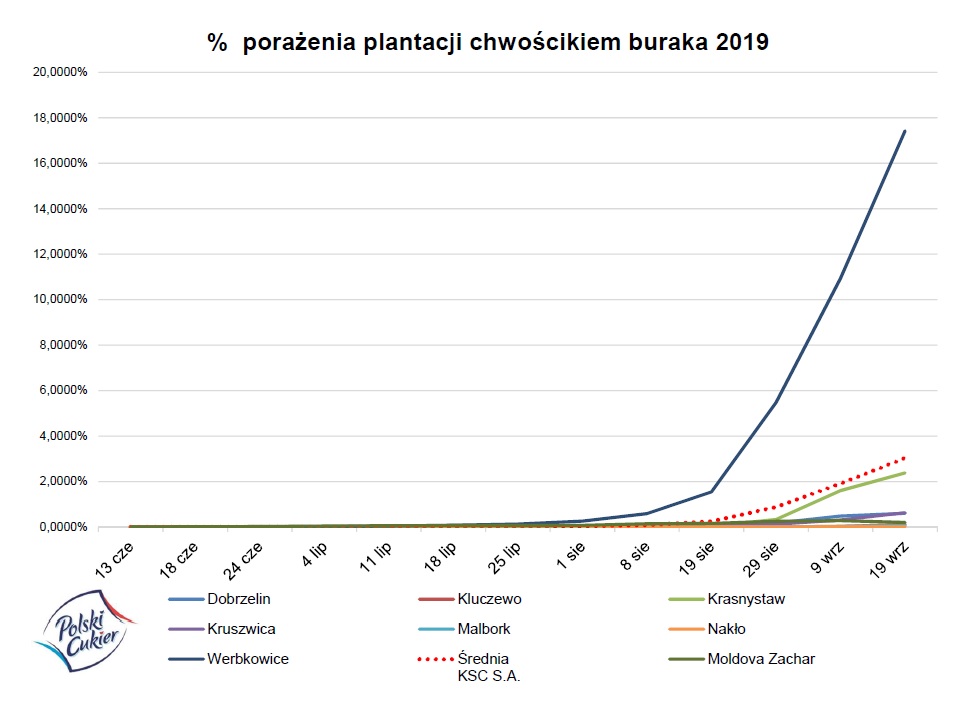 tabela pokazująca porażenie plantacji buraka curkowego chwościkiem buraka w 2019 r.