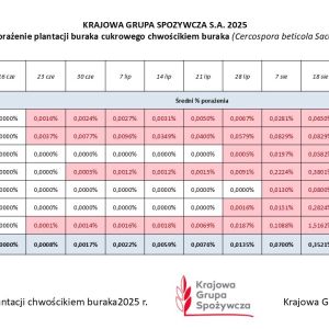 Zbiorczy raport porażenia chwościkiem w Oddziałach Krajowej Grupy Spożywczej S.A. - sezon 2025