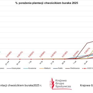 Wykres: monitoring porażenia chwościkiem buraka w Oddziałach Krajowej Grupy Spożywczej S.A. - sezon 2025