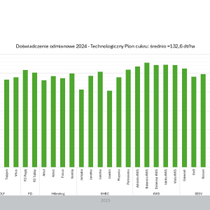 Doświadczenie odmianowe 2024 - technologiczny plon cukru