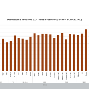 Doświadczenie odmianowe 2024 - potas melasotwóczy