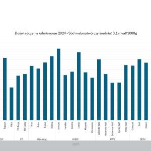 Doświadczenie odmianowe 2024 - sód melasotwóczy