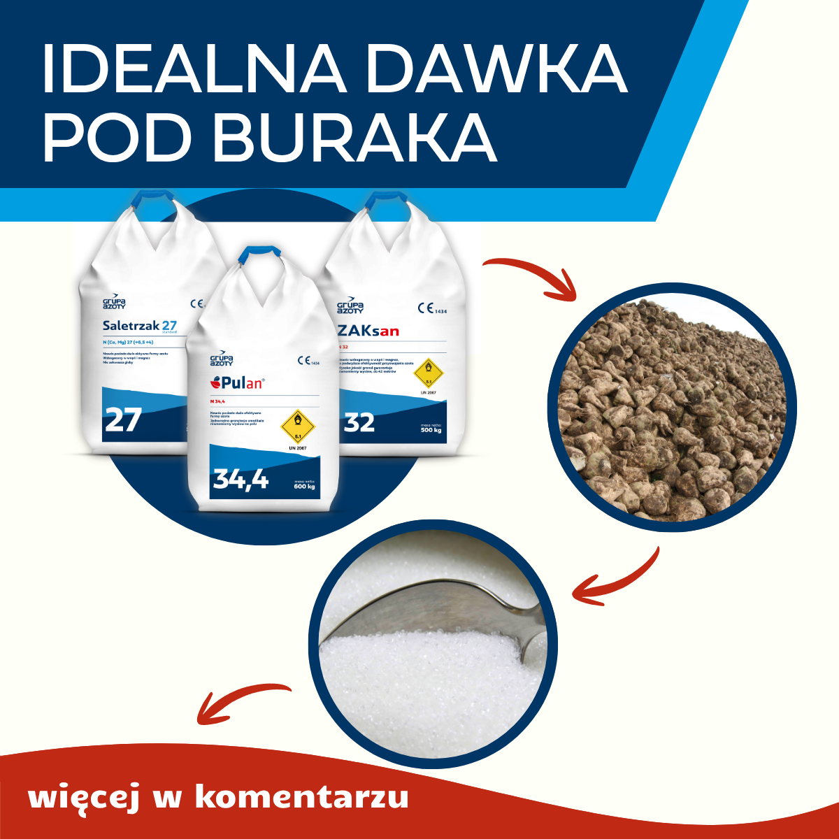 Jak osiągnąć maksymalne efekty z nawożenia buraka cukrowego?